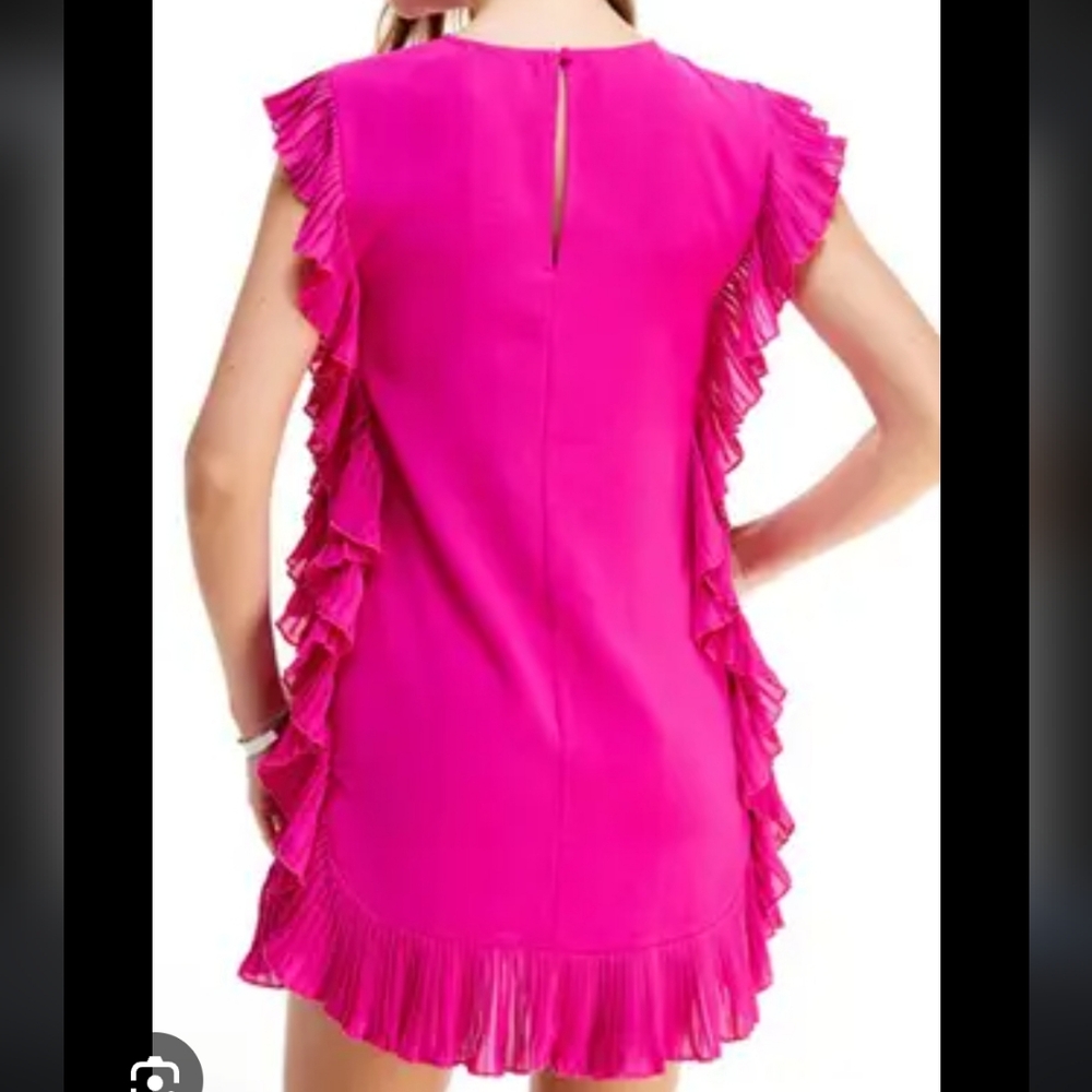 TCEC Pink Ruffle Dress - Picture 10 of 10